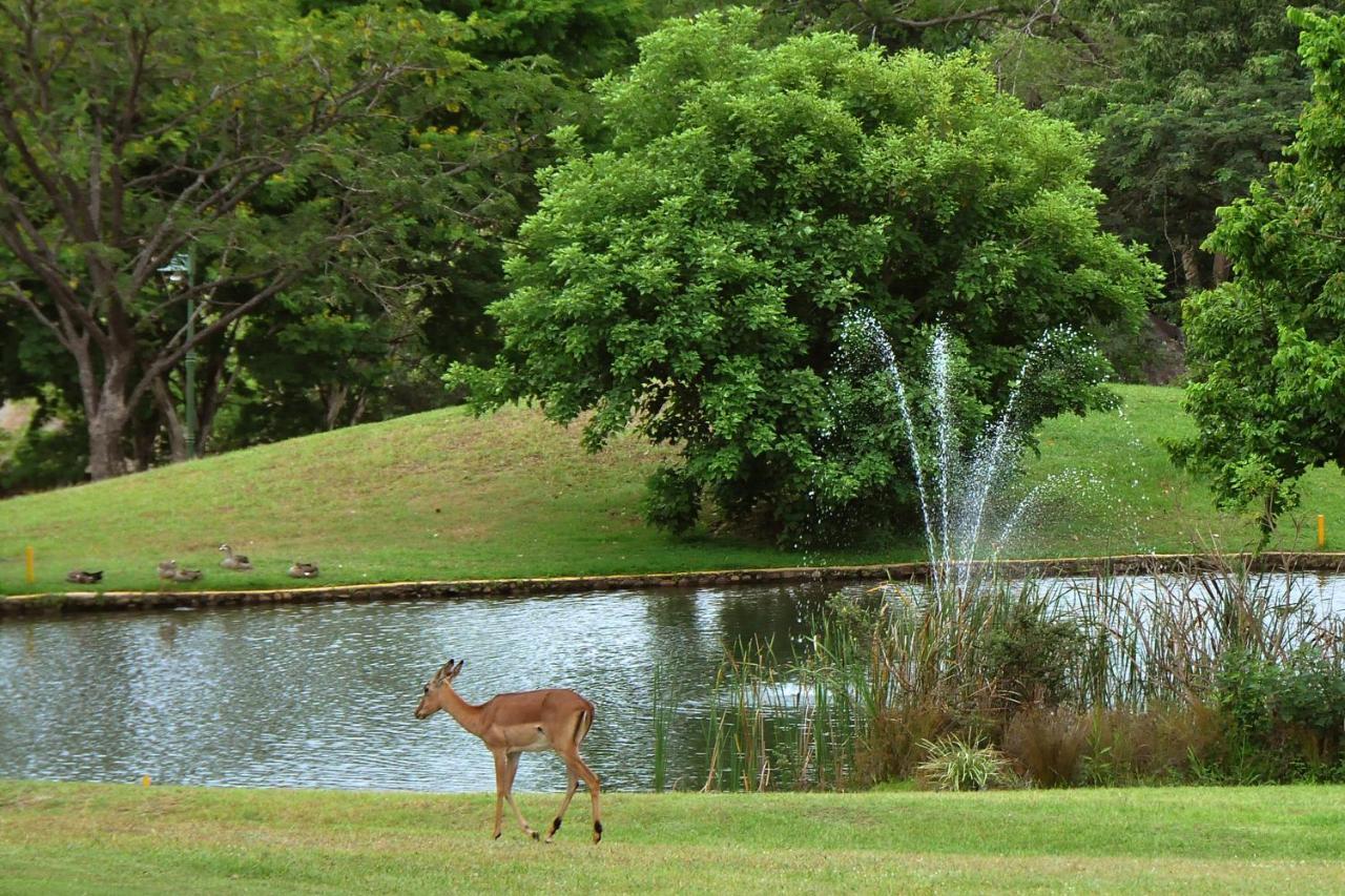 Kruger Park Lodge Unit No. 608A Hazyview Εξωτερικό φωτογραφία